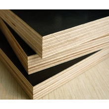 Yg56 Film Faced Plywood or Marine Wood